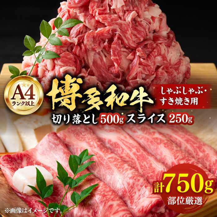【ふるさと納税】【A4以上】博多和牛 スライス 250g 切り落とし500g しゃぶしゃぶ すき焼き 用 （ 肩ロース / 肩バラ / モモ ）《豊前市》【株式会社MEAT PLUS】肉 牛肉 [VBB007] 14000 14000円