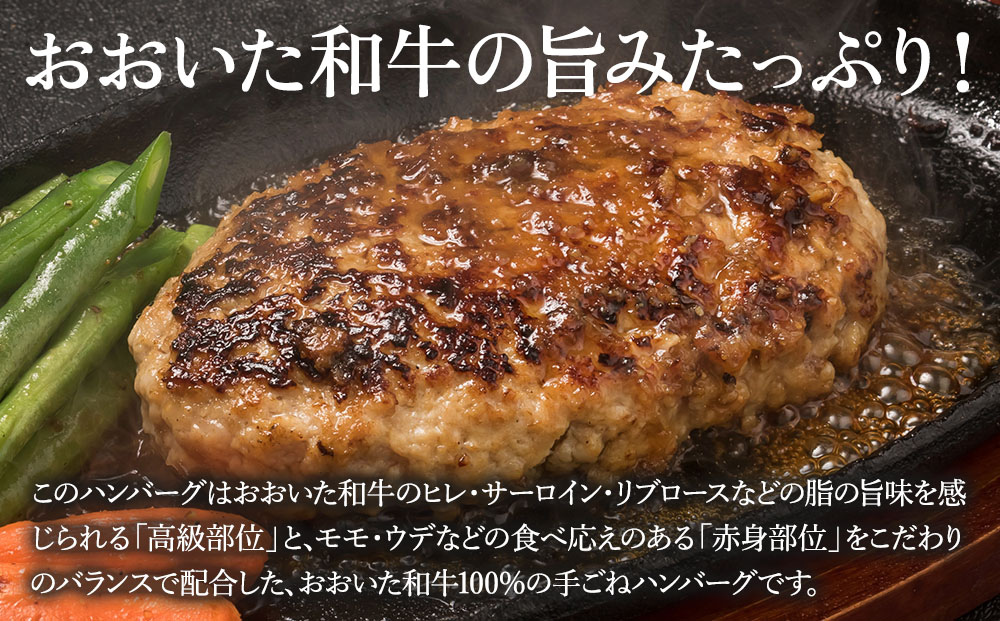 おおいた和牛100％生ハンバーグ 150g×6個 牛肉 豊後牛 ハンバーグ おかず 惣菜 冷凍 大分県産 九州産 津久見市 国産 送料無料