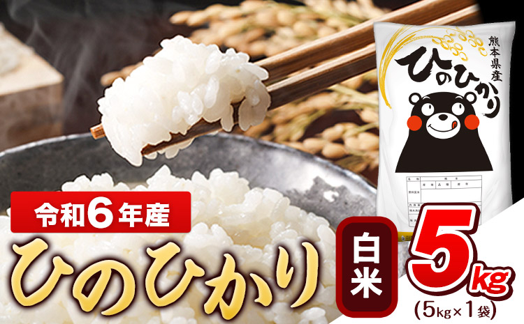 令和6年産 ひのひかり 白米 5kg (5kg×1袋)《7-14日以内に出荷予定(土日祝除く)予定》熊本県産 ひの 白米 精米 米 こめ ヒノヒカリ コメ お米 おこめ
