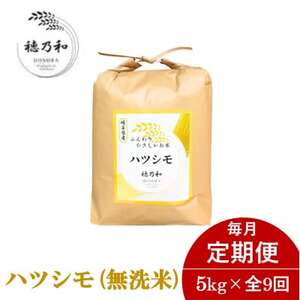 【毎月定期便】岐阜県産ハツシモ(無洗米)5kg全9回【配送不可地域：離島】【4056250】