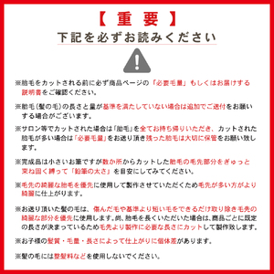 赤ちゃんの筆 クリスタルメモリー１本分　お仕立て券（ピンク）  赤ちゃん筆 胎毛筆 写真入り 名入れ アクリルケース ファーストヘア 髪の毛 記念品 記念日 晴れの日 七五三 新生活 新学期 プレゼン