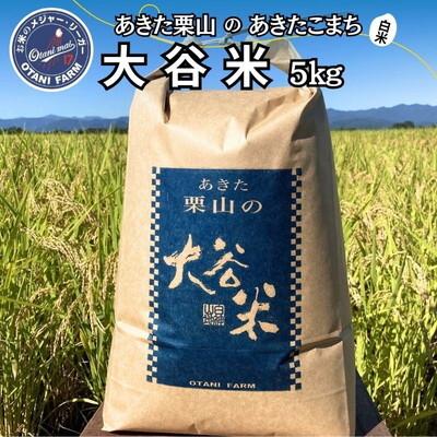 ふるさと納税 能代市 令和7年産 白米 精米 あきた栗山 大谷米 あきたこまち 5kg[No.5335-1500]