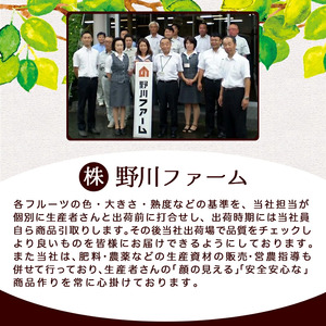紅黄りんごセット 2kg  山形 果物 フルーツ 08-02-027