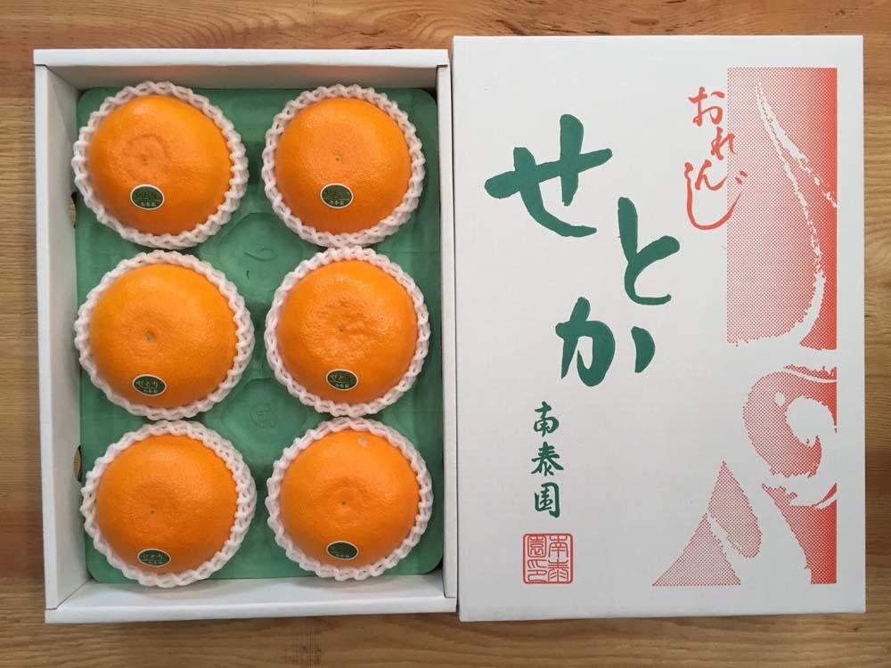化粧箱 柑橘の大トロ ハウス せとか 厳選 大玉 6玉入 BS102