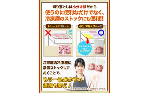 3ヶ月定期便 うまかポーク 切り落とし【全パック切り落とし】 計3.6kg 《お申込み月の翌月から出荷開始》---fn_fuptei_23_34500_mo3num1_kir---