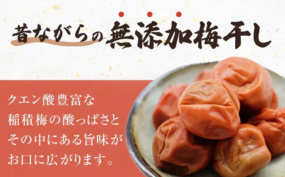越中伝統梅干し 氷見稲積梅 1kg （塩分約12%）｜富山県固有種 稲積梅 添加物不使用 手作り  