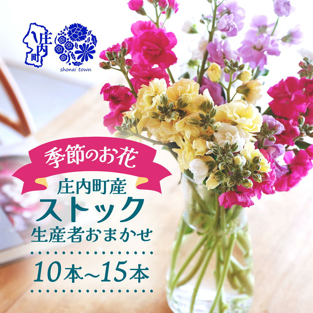【ふるさと納税】ストック 10本~15本 切り花 選べる配送時期 生産者おまかせ ミックス スプレータイプ スタンダードタイプ アラセイトウ 生花 花束 国産 庄内町フラワーラボ ふるさと納税 山形