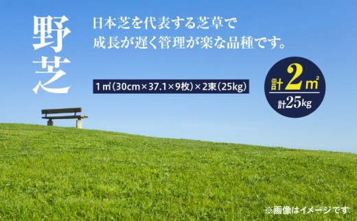 【10月から5月に発送】野芝（2平方メートル）　KN177-005-01