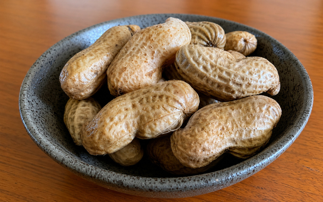 【9月下旬～10月下旬発送】 平泉町産 生落花生 おおまさり 1kg 大粒 ゆで落花生用 /  落花生 ピーナッツ ナッツ おつまみ お酒 おやつ 期間限定【配送不可地域：九州／沖縄県／離島】【ipo002】