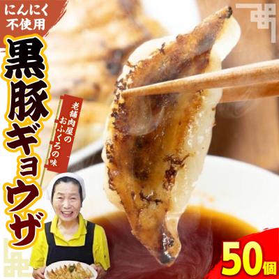 ふるさと納税 呉市 黒豚ギョウザ 50個入り　ku190-001-r