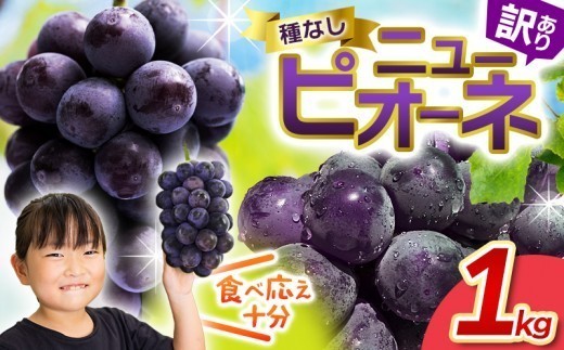 
                  【2026年発送・先行予約】ピオーネ 除草剤不使用 1kg以上 訳あり 種なし ニューピオーネ 岡山ピオーネ ピオーネ ぴおーね ぶどう 葡萄 ブドウ 果物 フルーツ 大粒 種無し 産地直送 農家直送 家庭用 花笑み農園 岡山県 真庭市 【hana033-02】
                