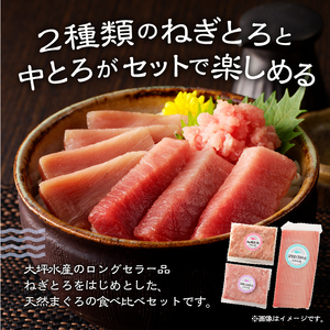 a11-042　まぐろ 中トロ ねぎとろ 焼津 マグロ 詰合せ セット S3