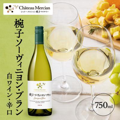 ふるさと納税 上田市 椀子ソーヴィニヨン・ブラン 750ml シャトー・メルシャン ソーヴィニヨン 白[54040414]