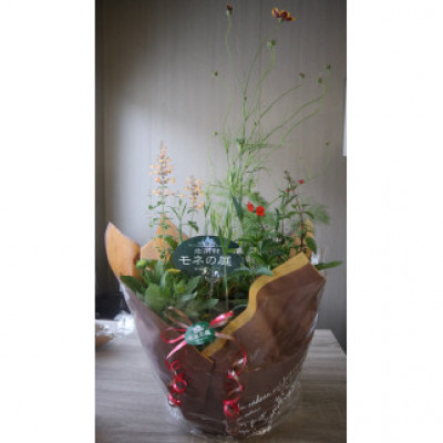 
            ＜母の日用＞北川村モネの庭から季節の寄せ鉢【1585999】
          