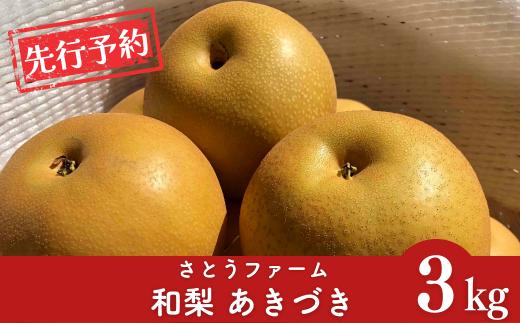 先行予約 和梨 あきづき 約3kg 令和8年度 新潟県産 梨 [さとうファーム] 【010S861】