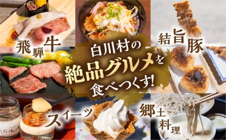 白川村 共通お食事券 9,000円分 チケット 岐阜 白川郷 世界遺産 観光 旅行 食事券 結旨豚 飛騨牛 定食 そば 飛騨 ディナー ランチ［ S399 ］