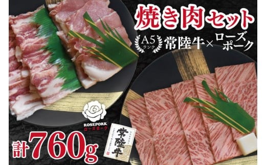 
            【常陸牛 A5ランク・ローズポーク焼肉セット】常陸牛カルビ360g＋ローズポーク400g（ロース200g・ばら200g） 冷凍 国産牛 和牛 牛肉 豚肉　ブランド豚 茨城県 水戸市 食べ比べ セット商品 国産 BBQ 20000円以内 老舗精肉店 EK-48

          