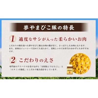 ふるさと納税 幸田町 「夢やまびこ豚」大きな焼売 | 豚肉 焼売 しゅうまい シュウマイ 簡単調理 中華料理 おかず 惣菜 |  | 01