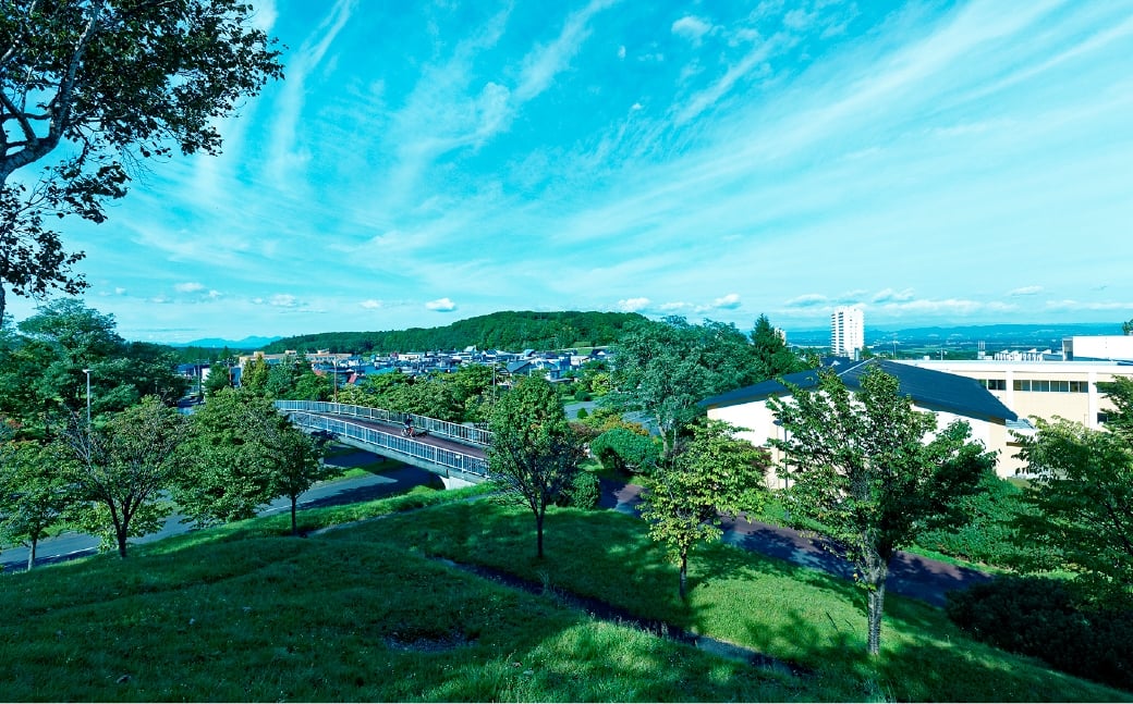 【7月5日（日）開催】「Fビレッジハーフマラソン2026」親子ペアの部（3km） 参加権【お一人様1回】