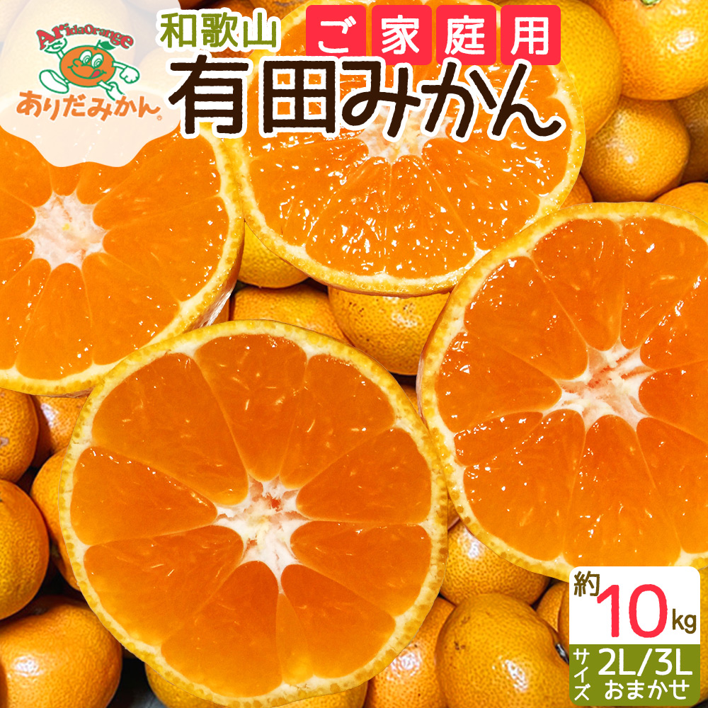 ZJ6079_【2025年先行予約】【ご家庭用】和歌山 有田みかん 約10kg (2L、3Lサイズ)【湯浅町】