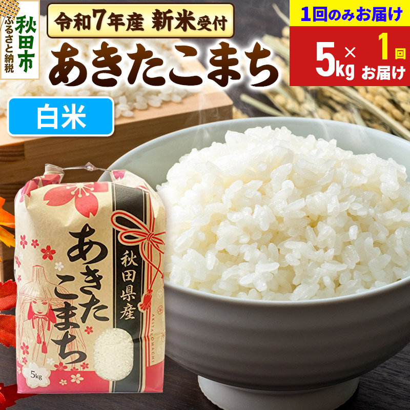 《令和7年産 新米受付》あきたこまち 5kg【1回のみお届け】【白米】秋田県産 こまちライン