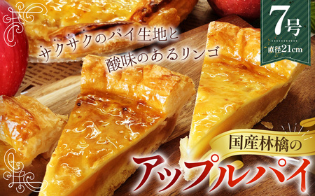 国産林檎のアップルパイ800g No.144