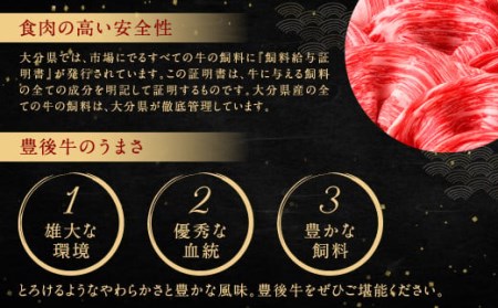 082-425 豊後牛 リブロース 鉄板焼用 700g 和牛 牛肉 ロース