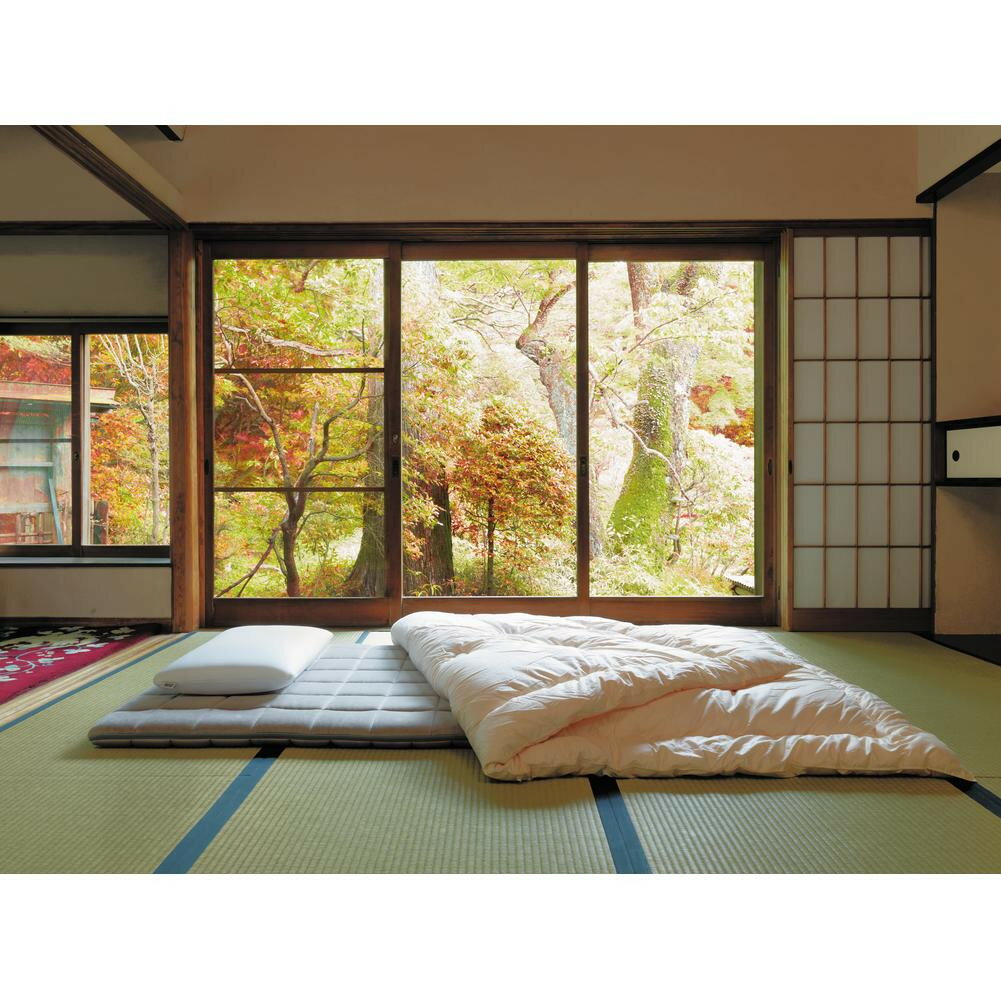 【ふるさと納税】【大府市産新米5合付き】 エアウィーヴ 四季布団 シングル セミダブル ダブル シングルロング 耐熱強化モデル | 敷き布団 敷布団 敷布とん 敷ふとん マットレス 高反発 高反発マットレス 洗える エアウィーブ