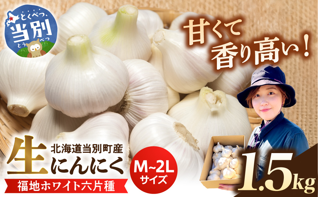 【令和8年発送先行受付】生にんにく（福地ホワイト六片種）1.5kg　《2026年6月上旬-7月下旬頃出荷予定》野菜　にんにく　当別町　北海道_tb22-004