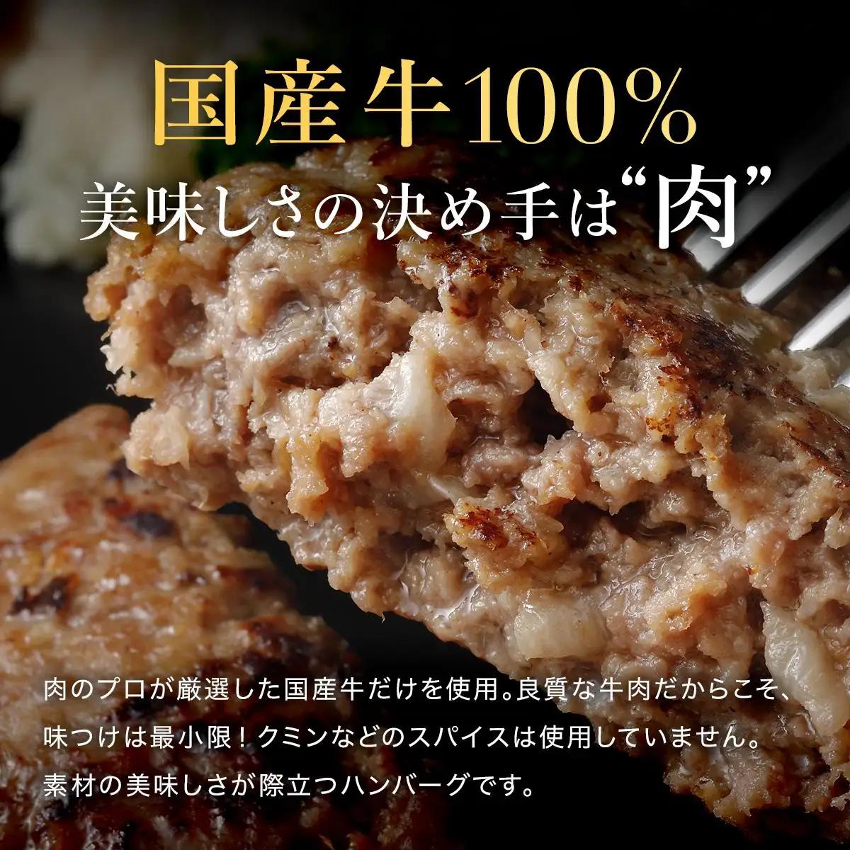 無添加 国産牛100% 直火焼き ハンバーグ 100g×6袋 電子レンジ 湯煎 [1305]