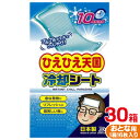 【ふるさと納税】ひえひえ天国 冷却シート 10時間 大人用 30箱入り(16枚x30箱=480枚)【1292394】