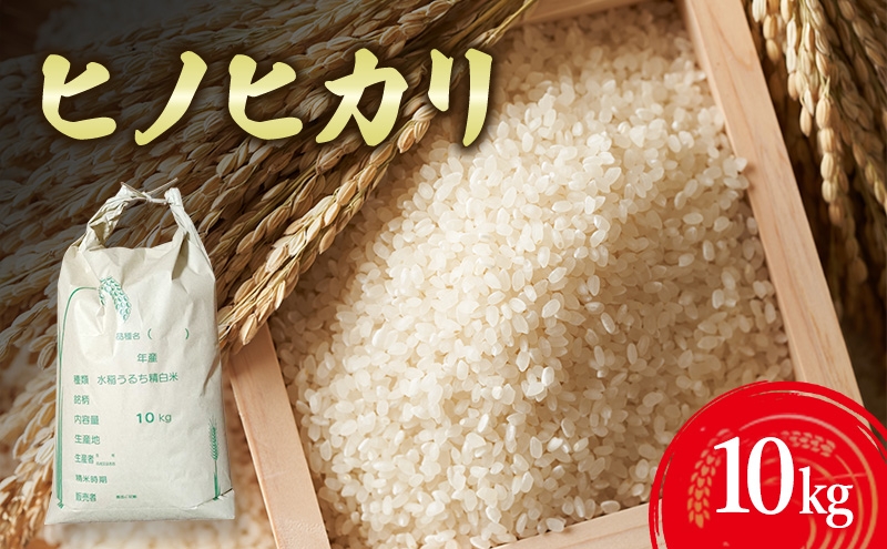 
            ヒノヒカリ10kg 兵庫県 洲本市 淡路島 [№5395-0281]
          