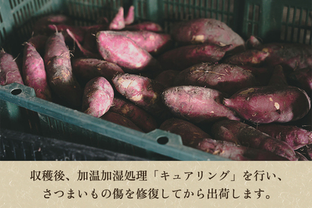 【規格外】さつまいも詰め合わせ4.5kg 新潟県加茂市七谷産 《11月下旬〜順次発送》 サツマイモ フードロス SDGs 人気品種 食べ比べ 紅はるか 紅あずま 焼き芋 蒸し芋 スイートポテト スイー