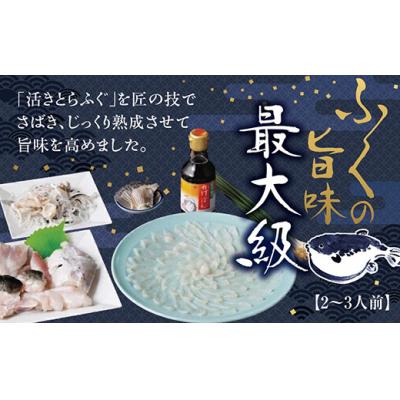 ふるさと納税 山口市 とらふくフルコースセット(2〜3人前) C046