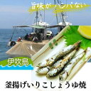 【ふるさと納税】旨味がハンパない伊吹島「釜揚げいりこしょうゆ焼」　【魚貝類・干物・カタクチイワシ】