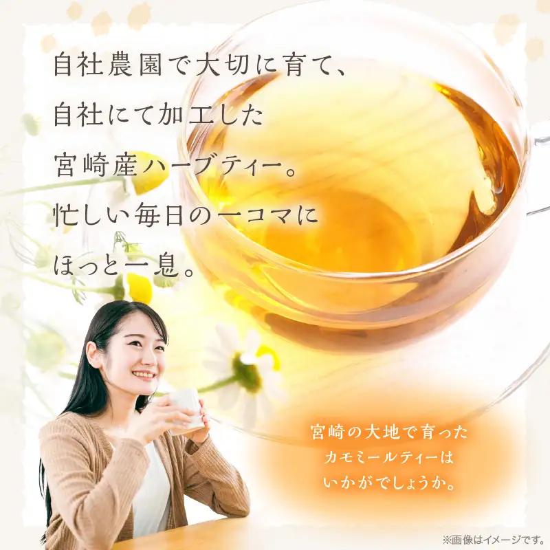 カモミールティー　30パック×2袋セット 紅茶 ハーブティー 飲料