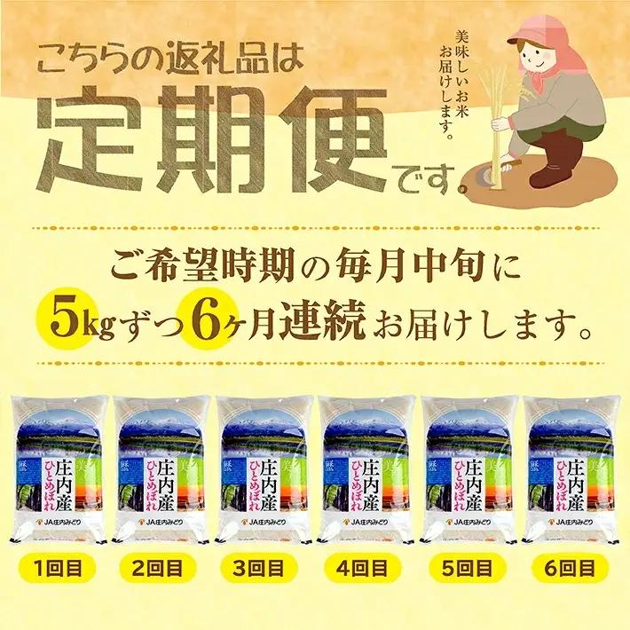 (2月～7月) ≪6ヶ月定期便≫ ひとめぼれ 5kg×6ヶ月連続 計30kg 山形県庄内産 ご希望期間の毎月中旬頃お届け JA 農協 産地直送 精米 白米 庄内米 東北 遊佐町[1708T02]