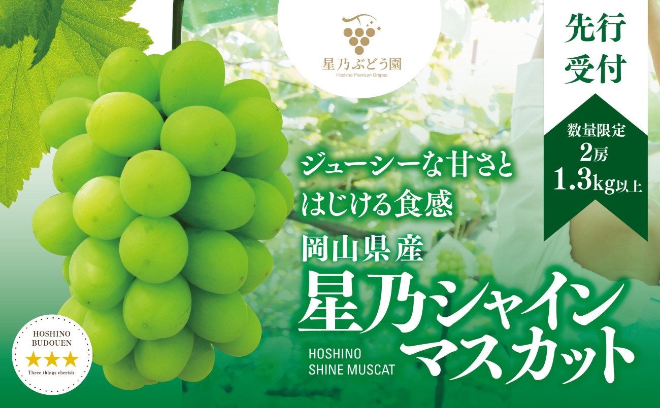 先行受付【三つ星ブランド】星乃シャインマスカット 数量限定 (岡山県産)2房(1.3kg以上)【配送不可地域：離島・北海道・沖縄県】【1418979】