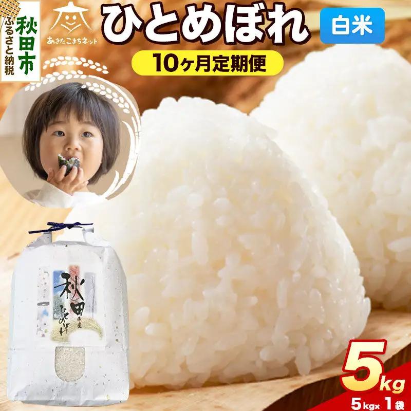 令和8年産 新米受付《定期便10ヶ月》ひとめぼれ 5kg【白米】秋田県産