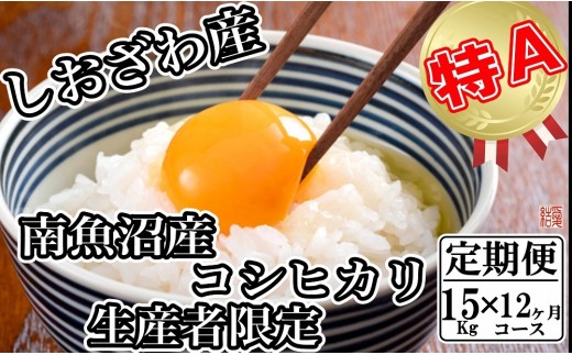 【令和8年産　新米予約】【定期便／15kg×12ヶ月】生産者限定 契約栽培 南魚沼しおざわ産コシヒカリ【定期便 銘柄米 ブランド米 精米 こしひかり コシヒカリ 魚沼産 新潟米 産地直送 お米 米】【2026年10月上旬から1ヶ月以内に順次発送予定】
