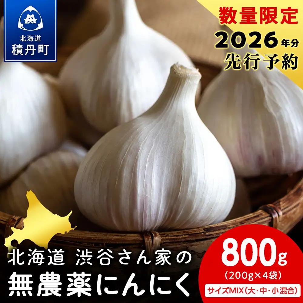 2027年分予約開始！【数量限定】渋谷さん家の「無農薬 にんにく MIXサイズ 200gx4袋」