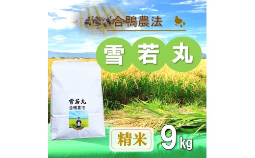 【令和7年産・精米】ecofarmすがわらの合鴨農法雪若丸9kg
