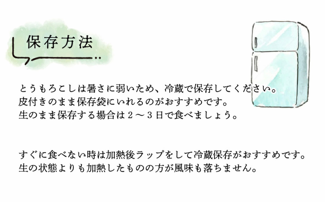 農家直送！ SDGs米糠堆肥で作った ベビーコーン 50本 品種 おおもの