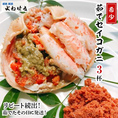 ふるさと納税 美浜町 【2025年11月より順次発送】《おまかせ》茹でセイコガニ　3杯  　茹でたてをその日に発送致します