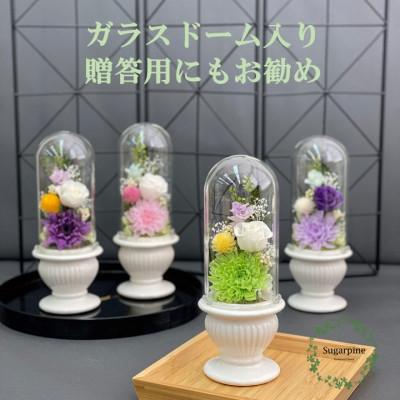ふるさと納税 春日部市 プリザーブドフラワーアレンジ【和花/緑】春日部市 シュガーパイン