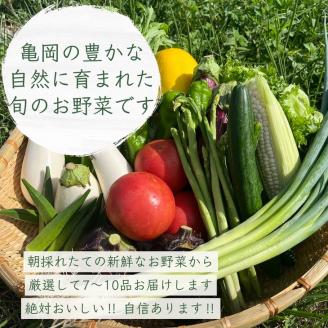 訳あり【6回野菜定期便】朝採れ野菜とコシヒカリ2kg （2ヶ月に1回） 京都丹直売所直送 7～10品目 亀岡 佐伯の里 家計応援 生活応援※北海道・沖縄・離島への配送不可 