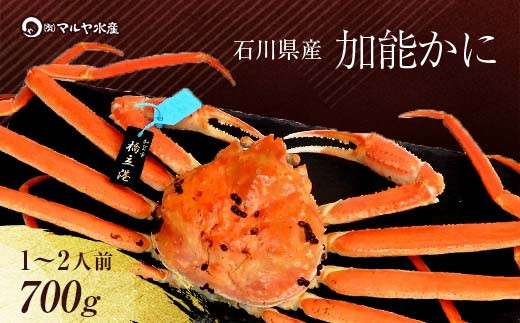 
            【時期が選べる】【先行予約】【冷蔵発送】石川県産 加能かに ズワイガニ ( 産地証明タグ付 ) 茹で上げ前重量 約700g 1匹 大サイズ ブランド蟹 ボイル 茹で 蟹 かに  グルメ 海産物 贈り物  復興 震災 コロナ 能登半島地震復興支援 北陸新幹線 F6P-0682 クラウドファンディング 実施中 GCF
          