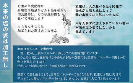 天日干し２年 火入れしない生の塩 「極楽塩」 1kg×10袋 金箔 貝カルシウム入り 食べる楽しさを極め 食塩 食卓塩 海塩 調味料