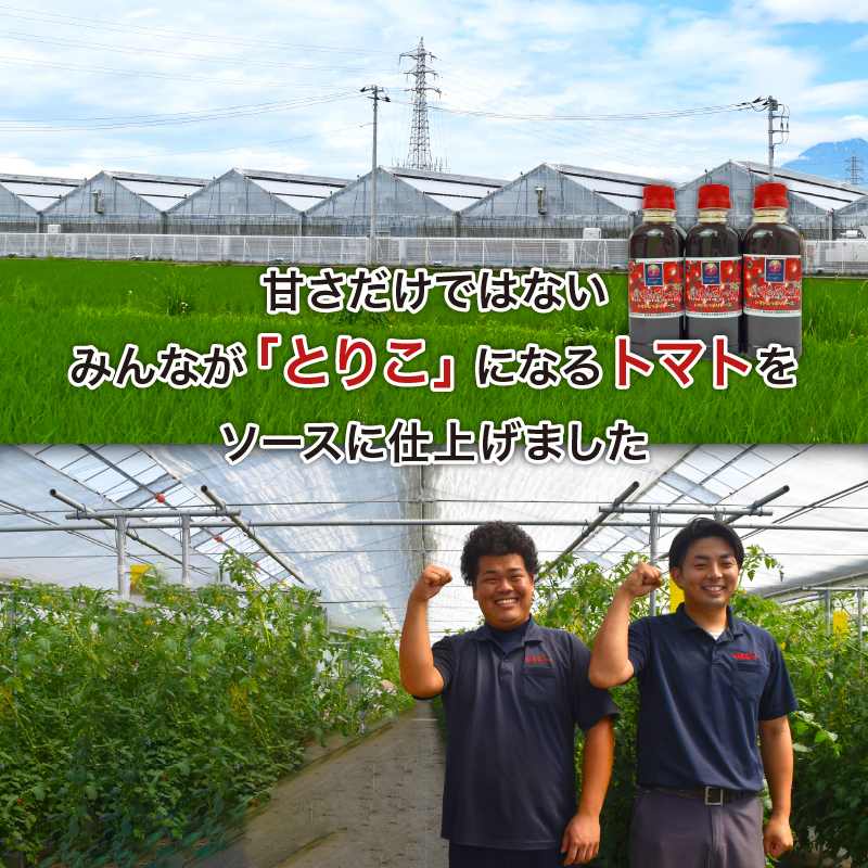 トマト たっぷり ソース 300ml×3本 丹那高原 トマトソース こだわり 調味料 戸田塩 使用 静岡県 沼津市