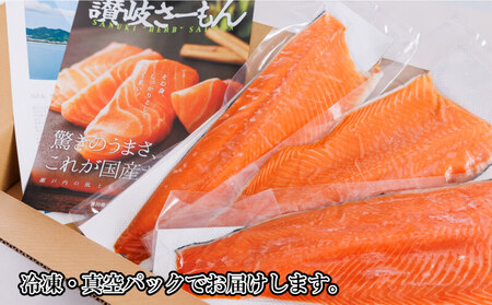 サーモン 1kg サーモン 鮭 サーモン 国産 サーモン 鮮魚 サーモン 海鮮 サーモン 産地直送 サーモン 刺身 サーモン 讃岐 さーもん さけ サーモン 人気 サーモン 安岐水産 サーモン 香川 